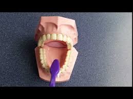 Tooth brushing demonstration film